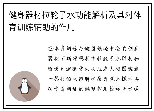 健身器材拉轮子水功能解析及其对体育训练辅助的作用